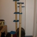 Arbre-a-chat-vieux2