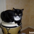 Booba-djembe2