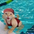 Manaudou-a-poils2