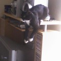 chat-hesite2