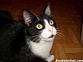 kioukiouk28