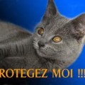 protegez-moi3